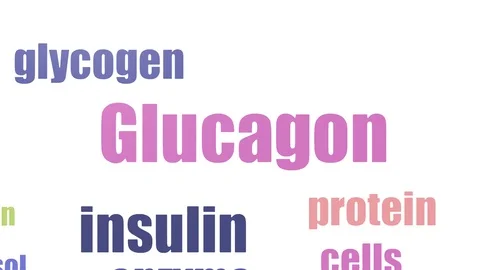 Glucagon Wordcloud Animated Isolated 스톡 동영상 103671149