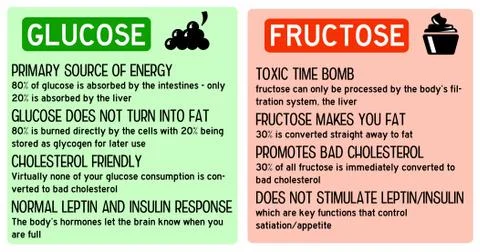Glucose fructose Stock-Illustration