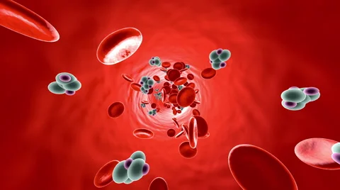 Glucose Molecules in a Bloodstream Stock Footage 64831634