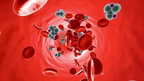 Glucose Molecules in a Bloodstream Vídeos de archivo 79987438