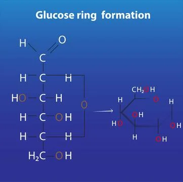 Glucose ring formation Illustrazione stock