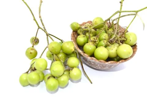 Glue berries Stock Photos