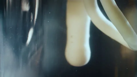 Glue strip falls down in water on a dark background. Stock Footage 162399281
