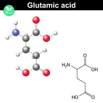 Glutamic acid chemical structure Stock-Illustration