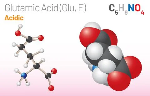 Glutamic Acid (Glu, E) amino acid molecule. (Chemical formula C5H9NO4) Stock Illustration