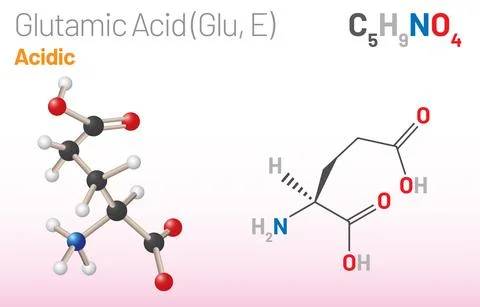 Glutamic Acid (Glu, E) amino acid molecule. (Chemical formula C5H9NO4) Stock-Illustration