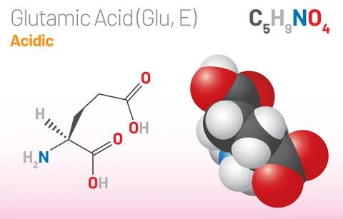 Glutamic Acid (Glu, E) amino acid molecule. (Chemical formula C5H9NO4) Stock Illustration