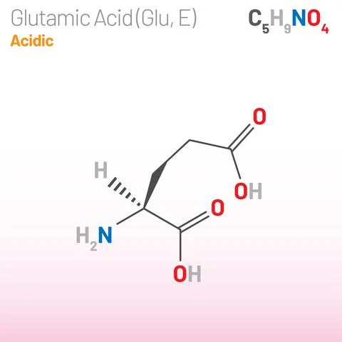 Glutamic Acid (Glu, E) amino acid molecule. (Chemical formula C5H9NO4) Stock-Illustration