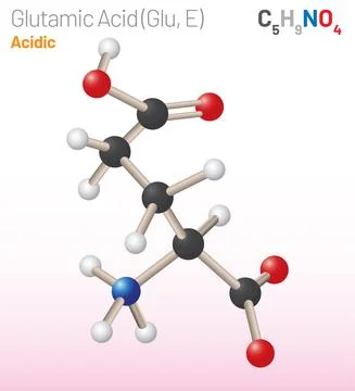 Glutamic Acid (Glu, E) amino acid molecule. (Chemical formula C5H9NO4) Stock Illustration