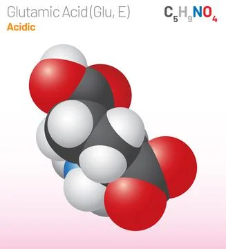 Glutamic Acid (Glu, E) amino acid molecule. (Chemical formula C5H9NO4) Stock Illustration
