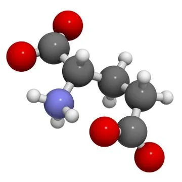Glutamic acid (glu, e, glutamate) amino acid, neurotransmitter and umami flav Stock Illustration