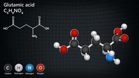 Glutamic acid (Glu). Stock Footage 152762838