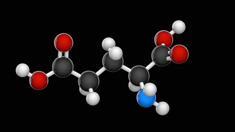 Glutamic acid (Glu). RGB + Alpha (Transparent) channel. Stock Footage 152762846