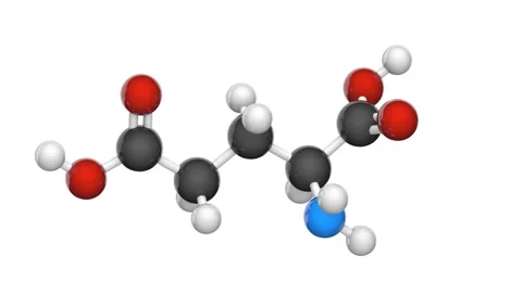 Glutamic acid (Glu). White background. Stock Footage 152762840
