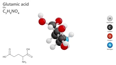Glutamic Acid or Glu. Non-essential amino acid. White background. 3D render Stock Footage 291075847