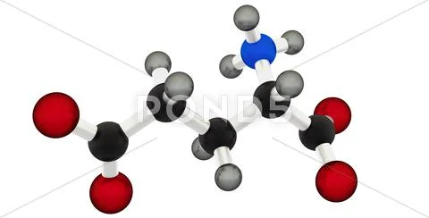 Glutamic acid Stock Photos