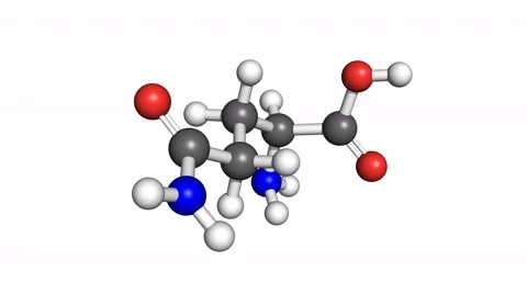 Glutamine molecule, rotating model Stock Footage 50238198
