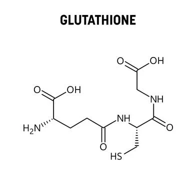Glutathione structural formula of molecular structure Stock Illustration