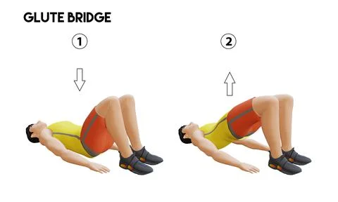 Glute-Bridge Exercise Stock Illustration