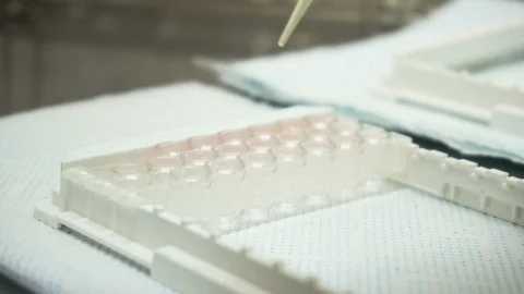 Gluten testing in Laboratory Stock Footage 87805201