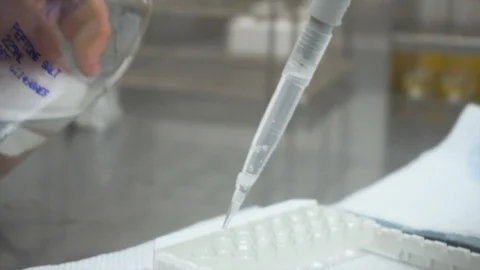 Gluten testing in Laboratory Stock Footage 87805519