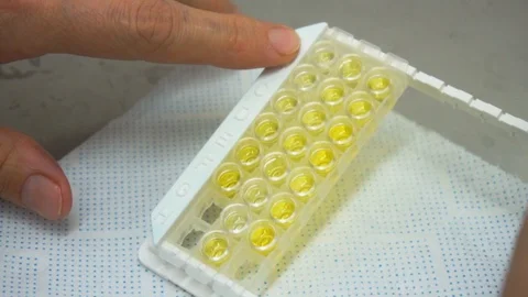 Gluten testing in Laboratory Stock Footage 87822758