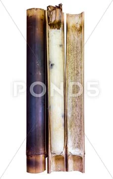 Glutinous rice roasted in bamboo joints on white isolate background. Stock Photos