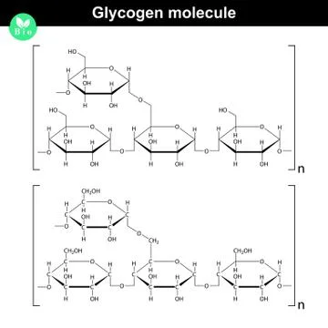 Glycogen molecule Stock Illustration