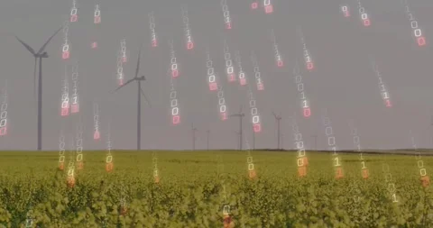 Glyphs emerging high, starting falling columns, bathing yellow crop and Stock Footage 334112436
