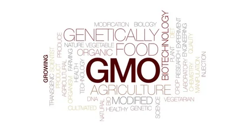 GMO animated word cloud, text design animation. Kinetic typography. Stock Footage 80211334