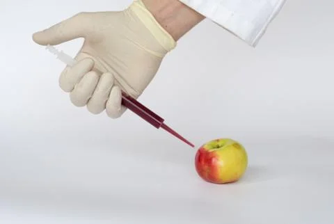 GMO apple Stock Photos
