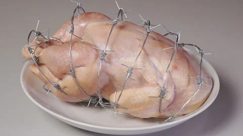 GMO chicken on a white plate. Concept genetically altered or modified food 動画素材 104716645