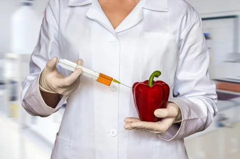 GMO experiment: Scientist injecting liquid from syringe into red pepper Stock Photos