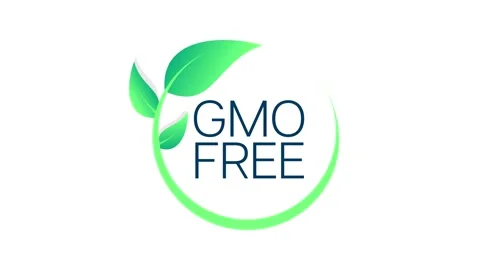Gmo free animation icon circle badge sign. Non Genetically modified organism Stock Footage 219024422