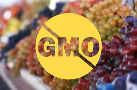 GMO free products. Blurred view of fresh ripe juicy grapes on counter at mark Stock Photos