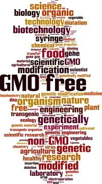GMO free word cloud Stock Illustration