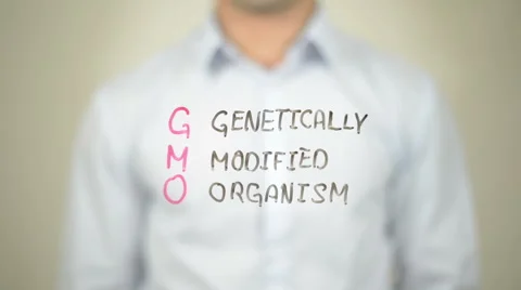Gmo genetically modified organism , Man writing on transparent screen Video stock 62983183