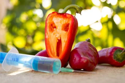 GMO pepper with syringe Stock Photos