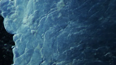 GMO pork meat under a microscope with 100x times magnification. Scientific group Stock Footage 252805726