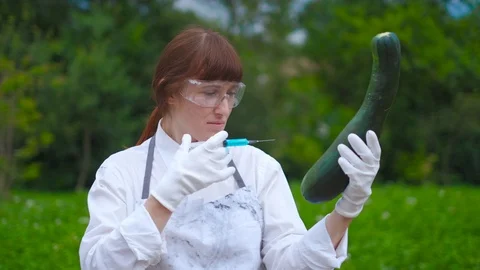 GMO scientist injecting liquid from syringe into zucchini - genetically modified Stock Footage 112442146
