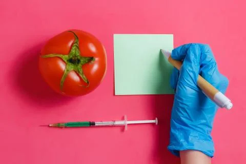 GMO Scientist Make Note, Green Liquid in Syringe,Red Tomato - Genetically Stock Photos