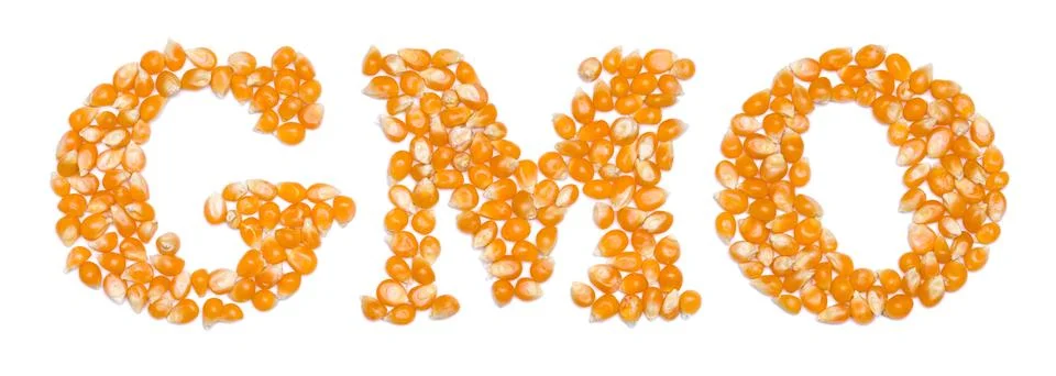 GMO script made of seeds Stock Photos
