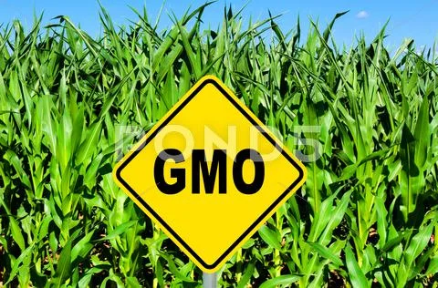 Gmo sign Stock Photos