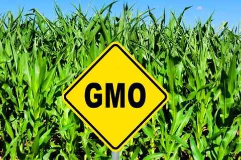 Gmo sign Foto stock