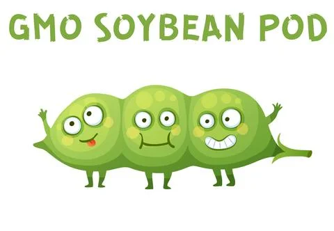 GMO Soy beans Vegetable Illustration. Cartoon Vector Funny Soy Characters Icon Illustrazione stock