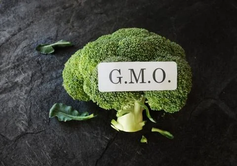 GMO sticker on broccoli Stock Photos