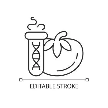 GMO testing linear icon Stock Illustration