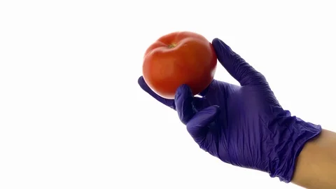 GMO.  White background. Vegetables of the future. Scientist showed modified Stock Footage 116097396