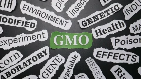 GMO Word Cloud Animation Loop Genetically Modified Organisms Stock Footage 157451511