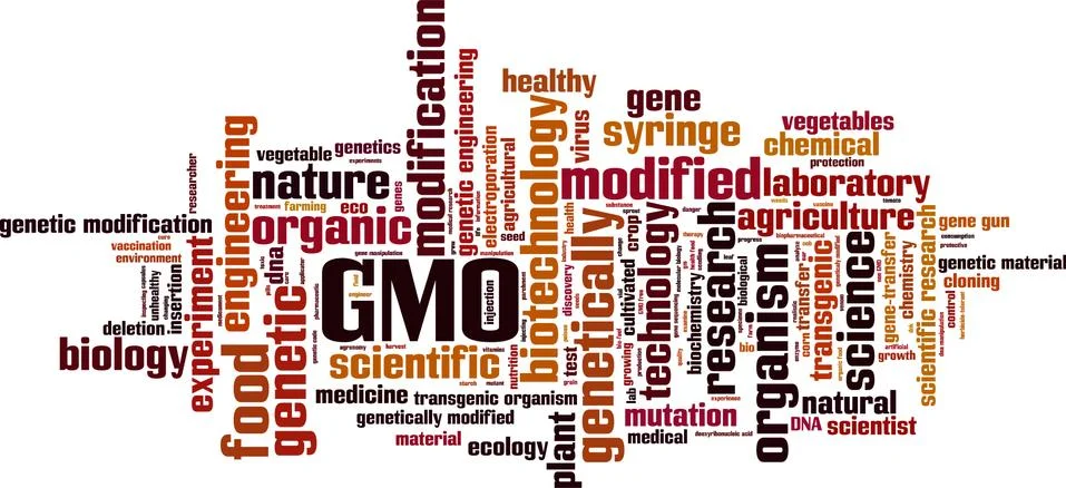 GMO word cloud Stock Illustration
